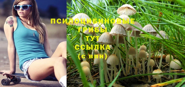 кристаллы Горняк