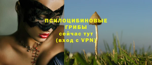 меф Горно-Алтайск