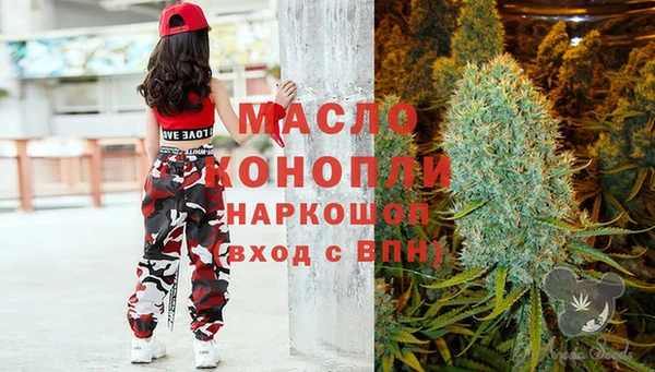 сатива Горнозаводск